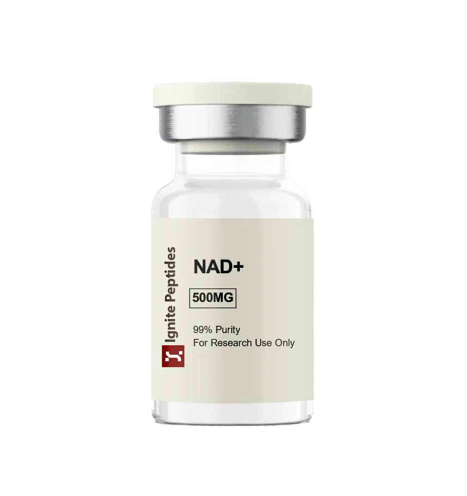 High-purity NAD+ peptide 500mg lyophilized powder in 5mL glass vial for scientific research use only.
