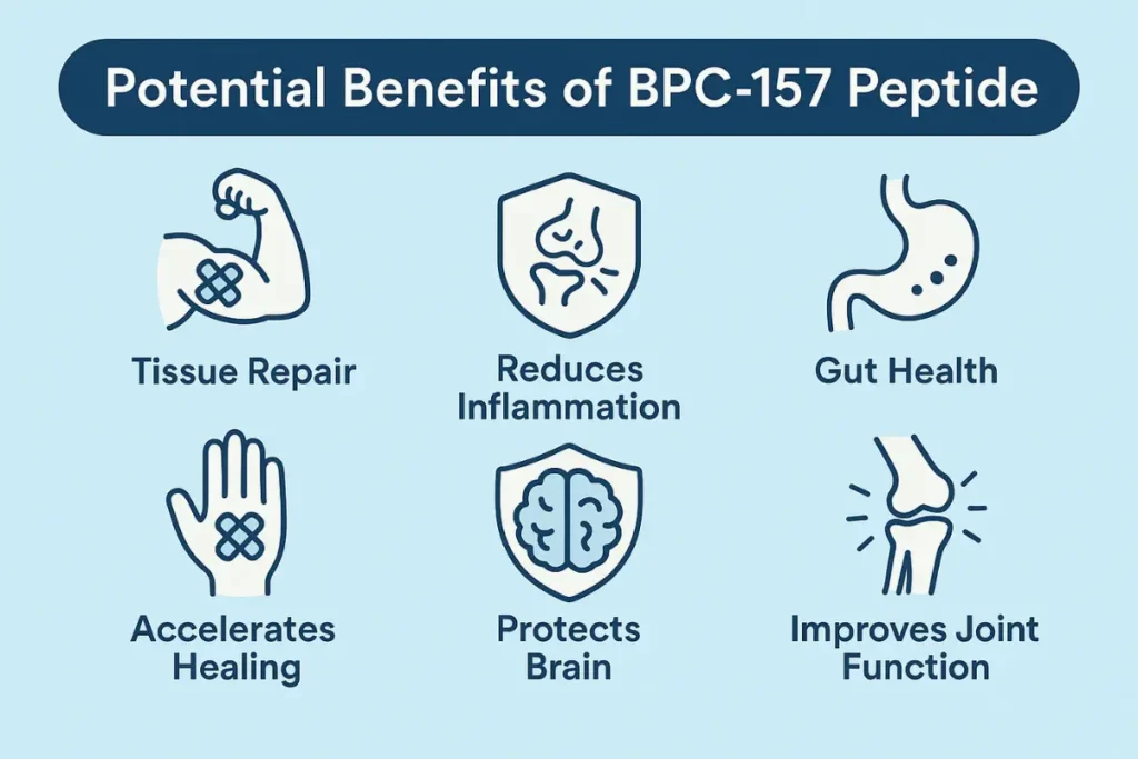 Icons illustrating tissue repair, reduced inflammation, gut health, healing, brain protection, and improved joint function from BPC-157.