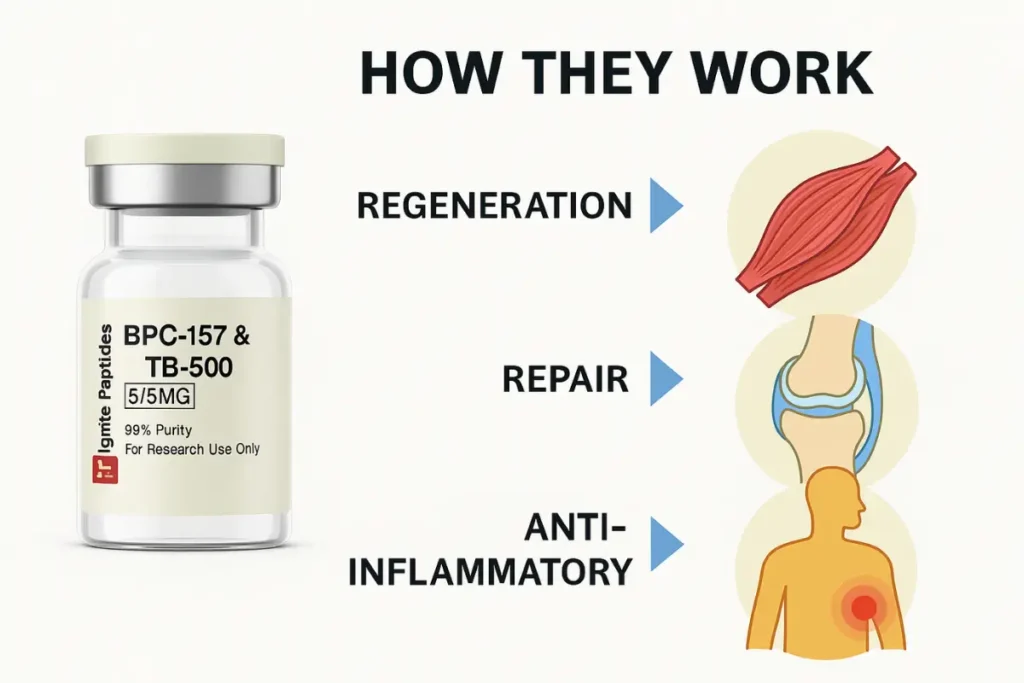 Infographic showing the benefits of peptides like BPC-157 and TB-500 including reduced inflammation, faster recovery, and tissue regeneration.
